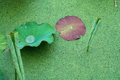 Epic喜加一：《女巫来了》《幽灵线：东京》免费领